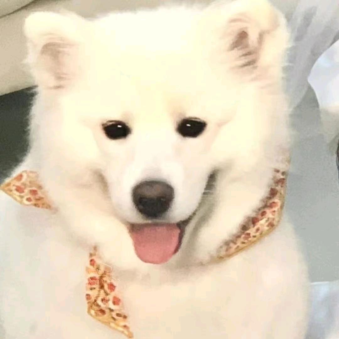 是杯雪碧