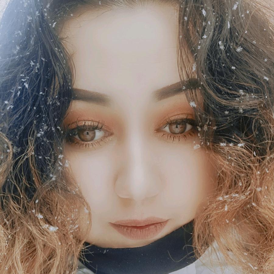 🌹玫瑰花🌹
