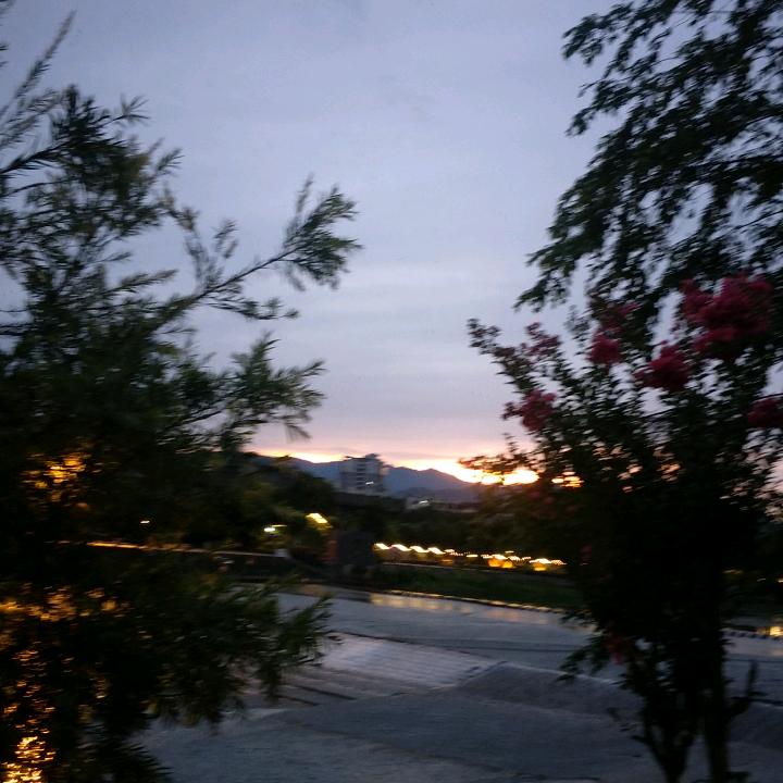 花开富贵(･ิϖ･ิ)っ