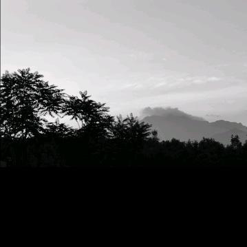 与海听