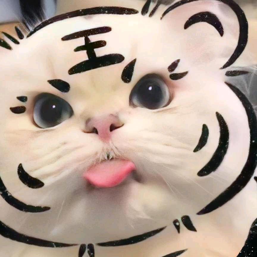 毛毛酱