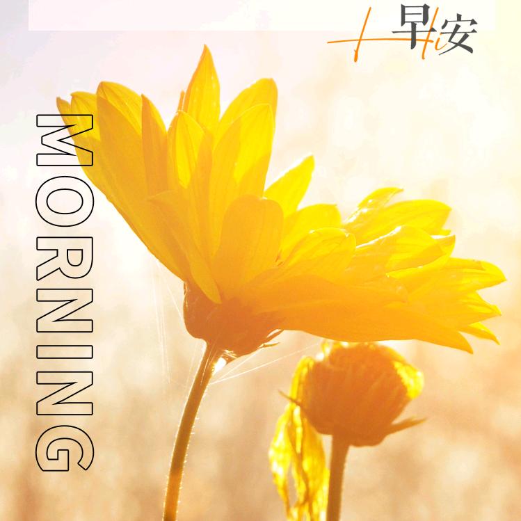有缘人