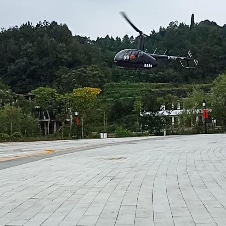 飞虎