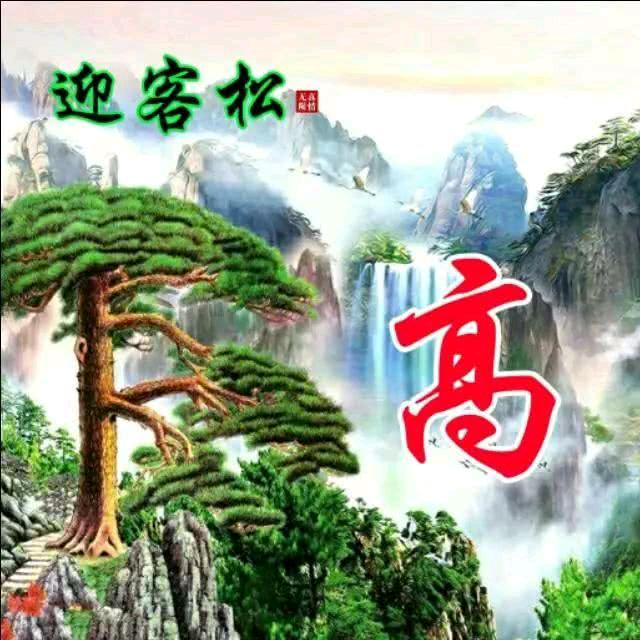 龘龘朤朤䲜䲜