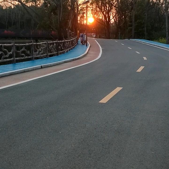 挺拨的青松