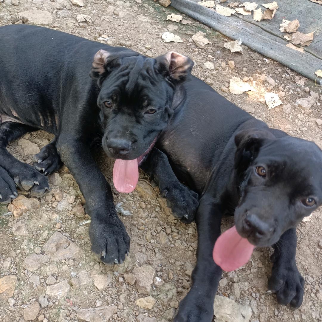 防不胜房这事不苑我