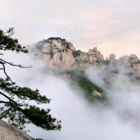 岳西老益