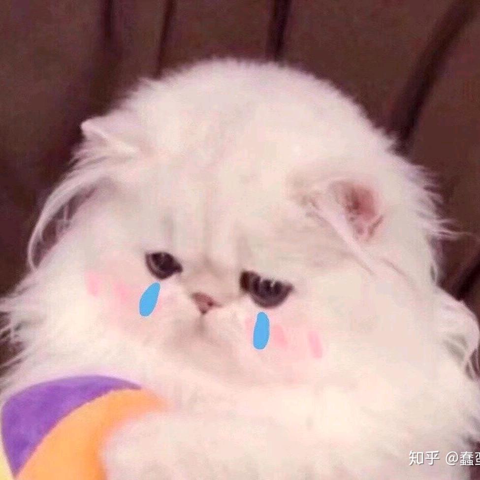 185宇宙超级无敌大炸鸡（见过邓紫棋版）