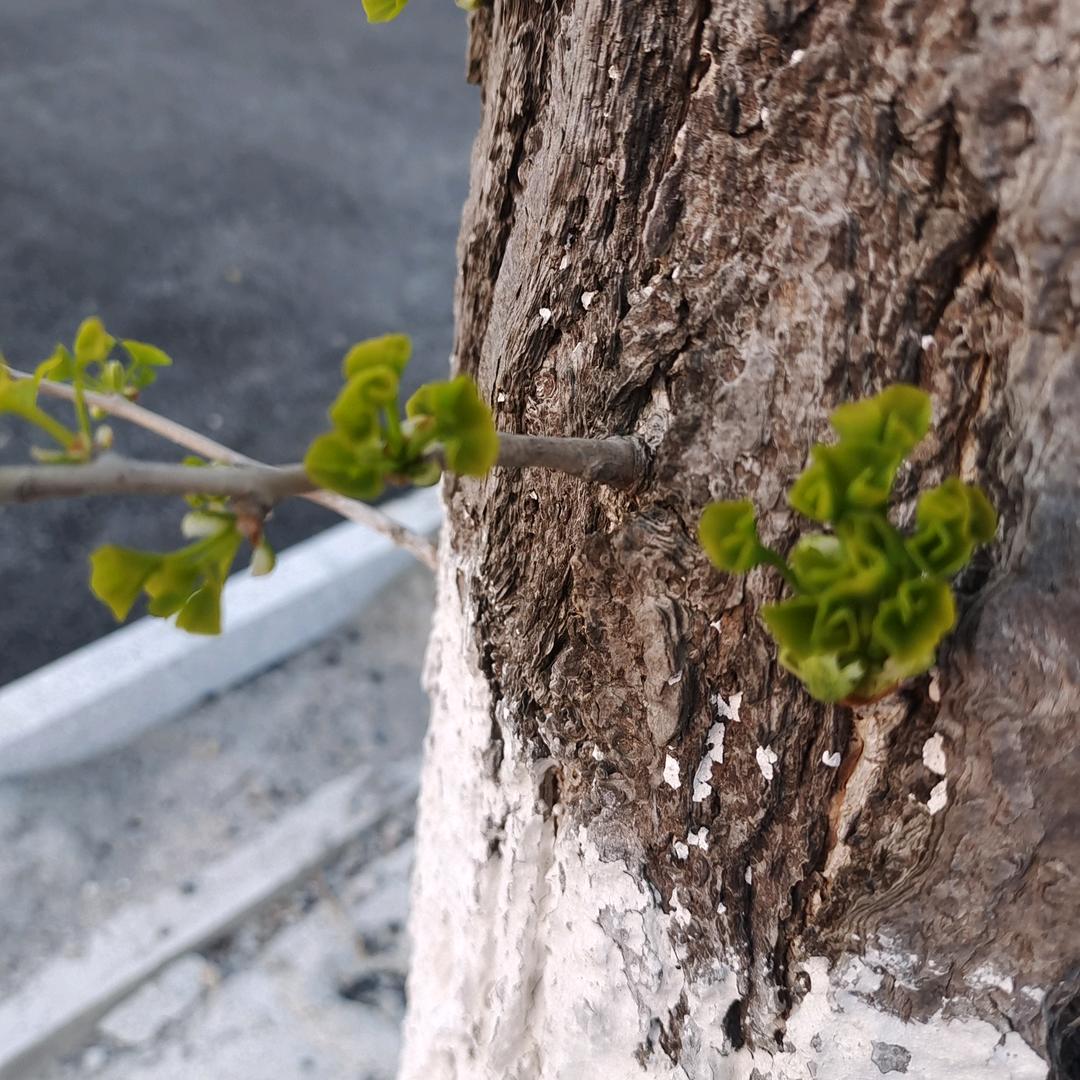 每刻美食推荐官