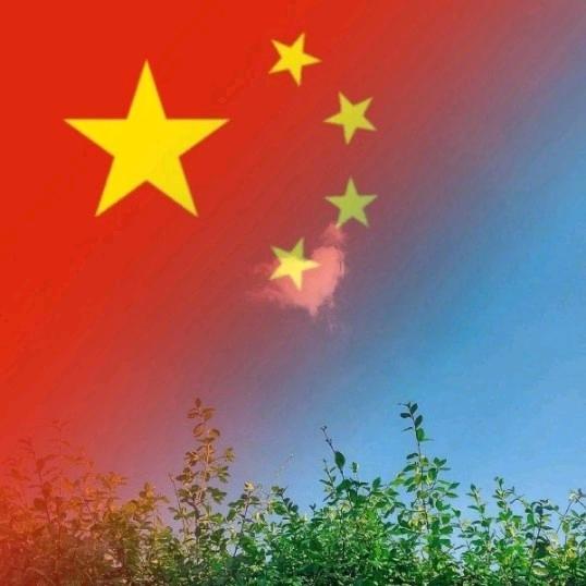 清风饮露
