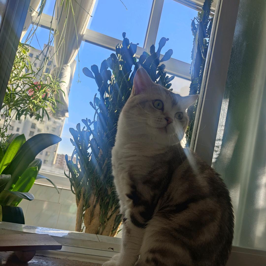 高先生🦌⁰⁰⁷