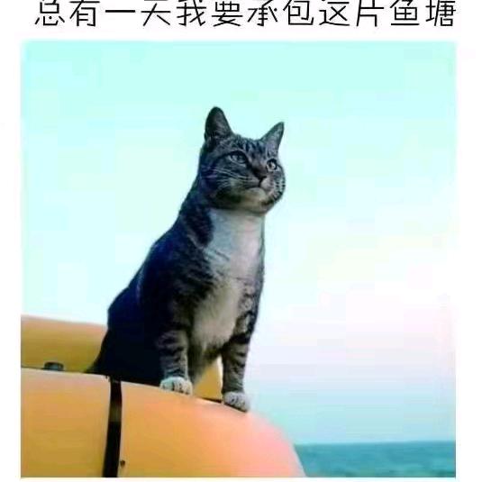 幸运星