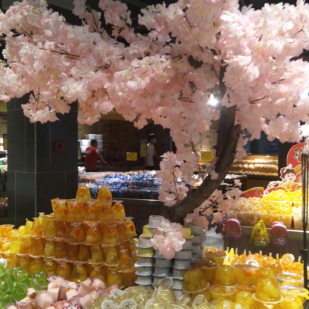 夕阳西下的光辉