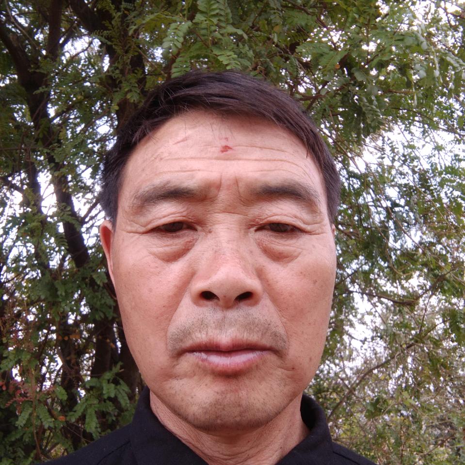 老宁哥 (◦˙▽˙◦)