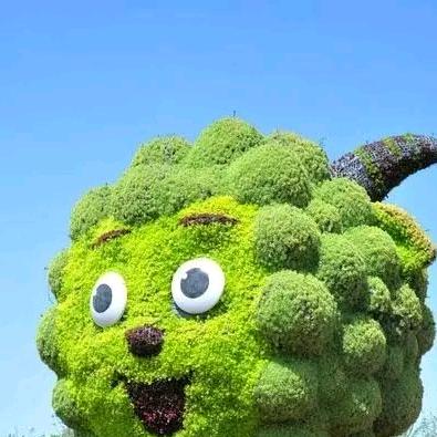 身強力壮
