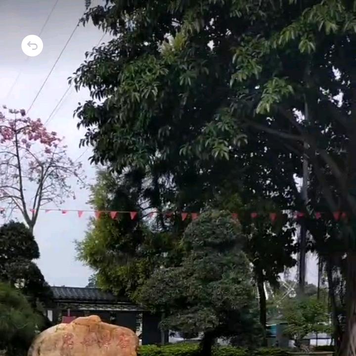 💐为((🌺你⥎停🌺))刘🌹