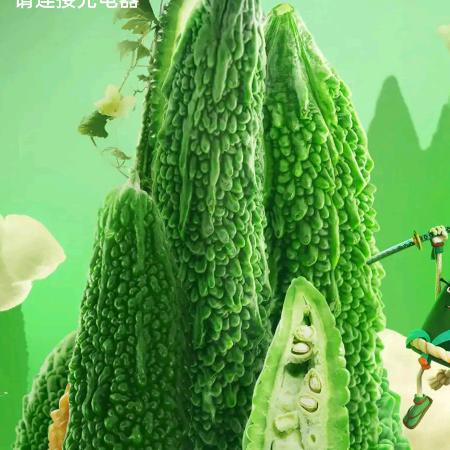 乐2621