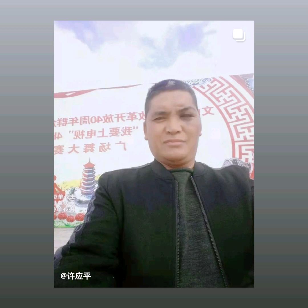 许应平