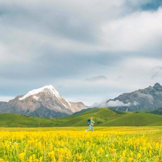 乡村水木