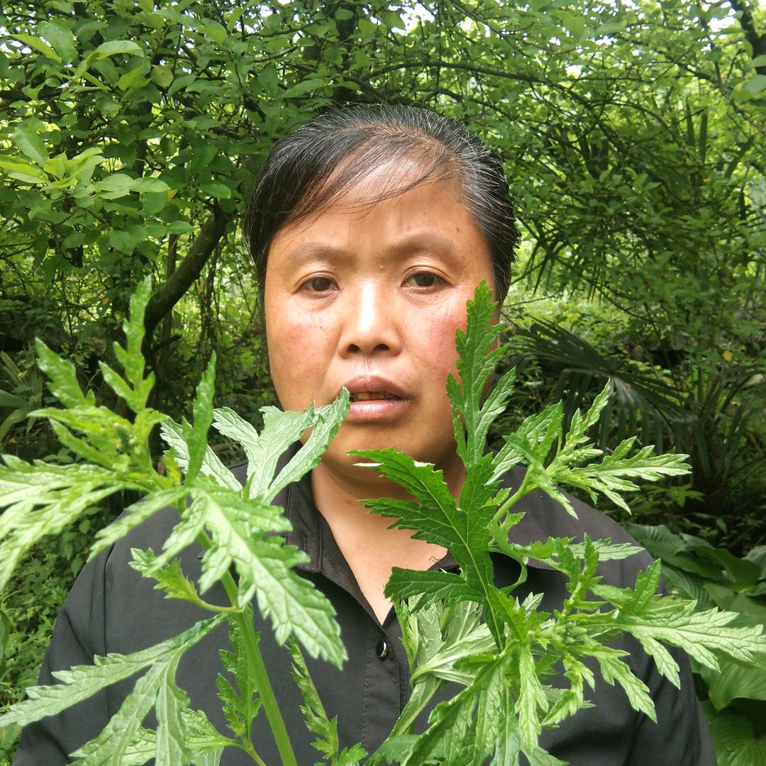 陈四妹