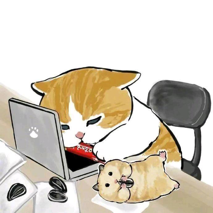 zQAQzz
