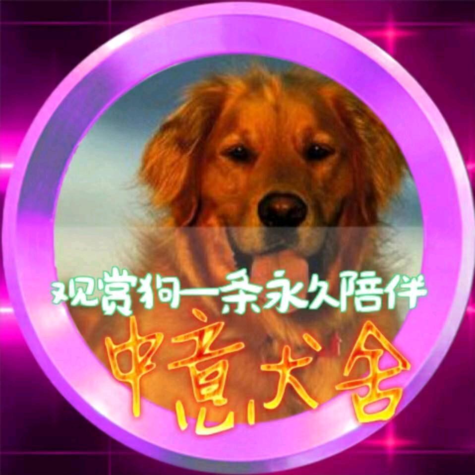 中胜犬舍强强