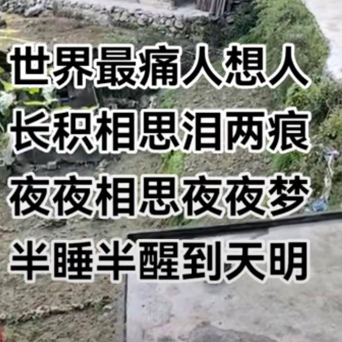 网络情缘