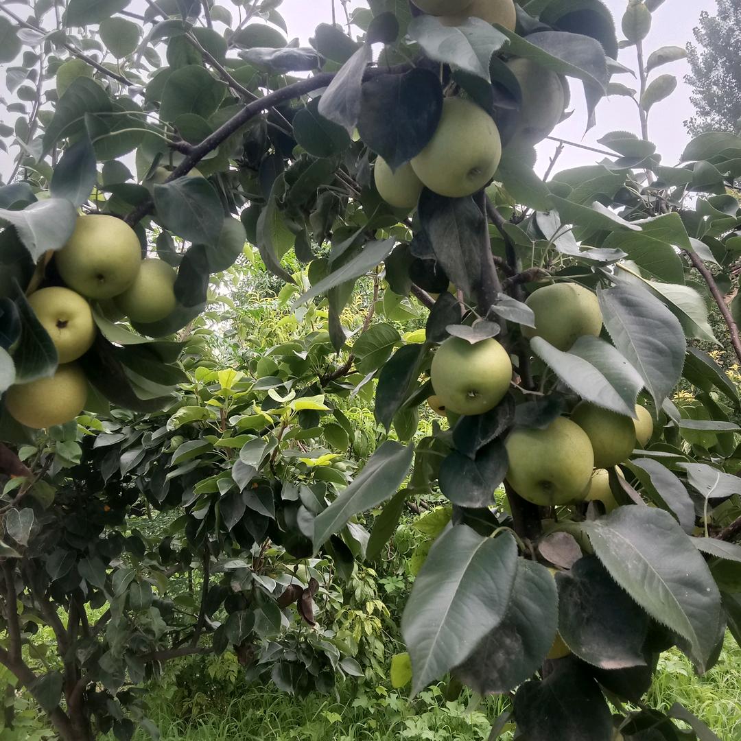 我是潇洒，