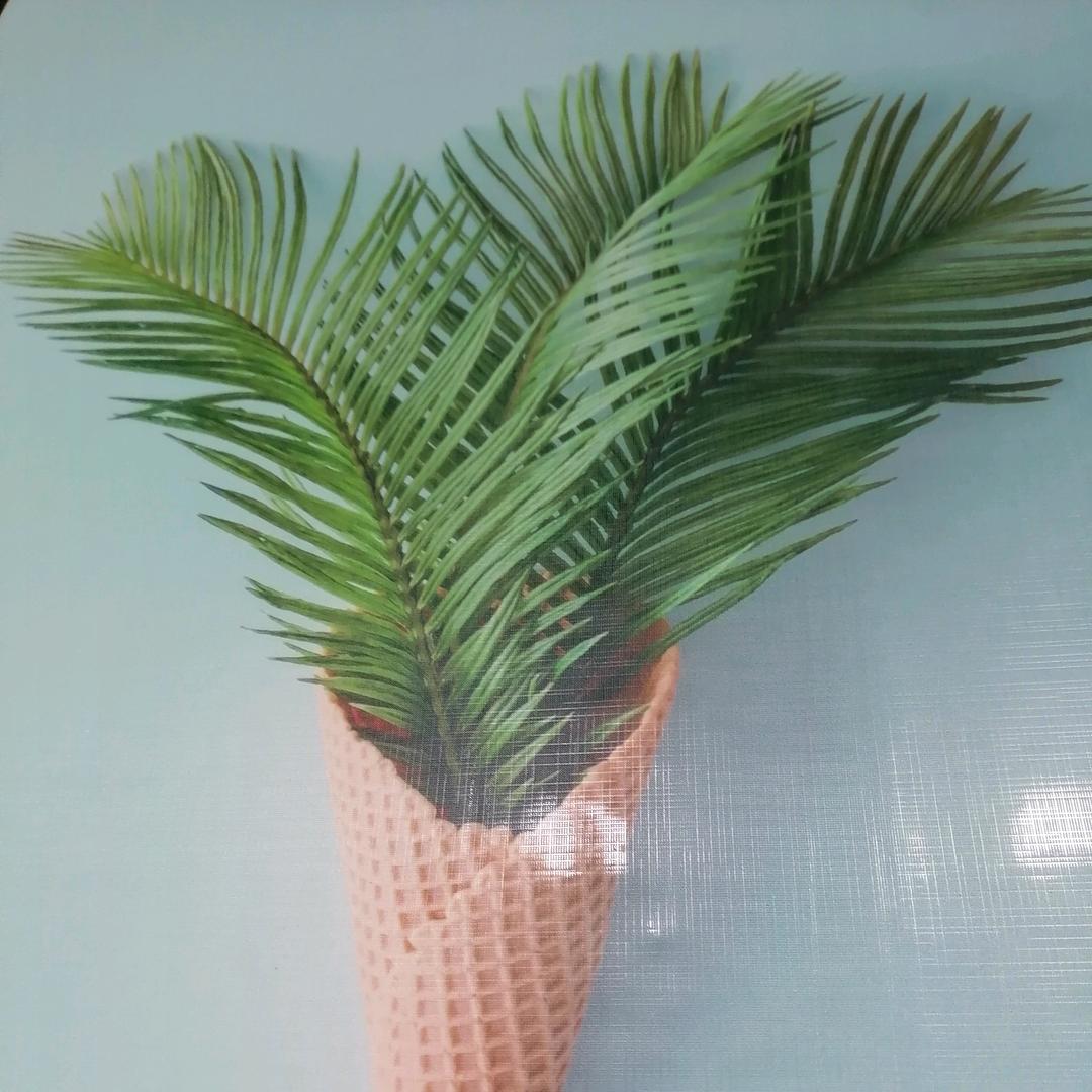 快乐的中年