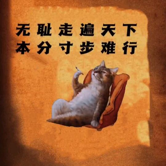 龙哥的幻灯片！