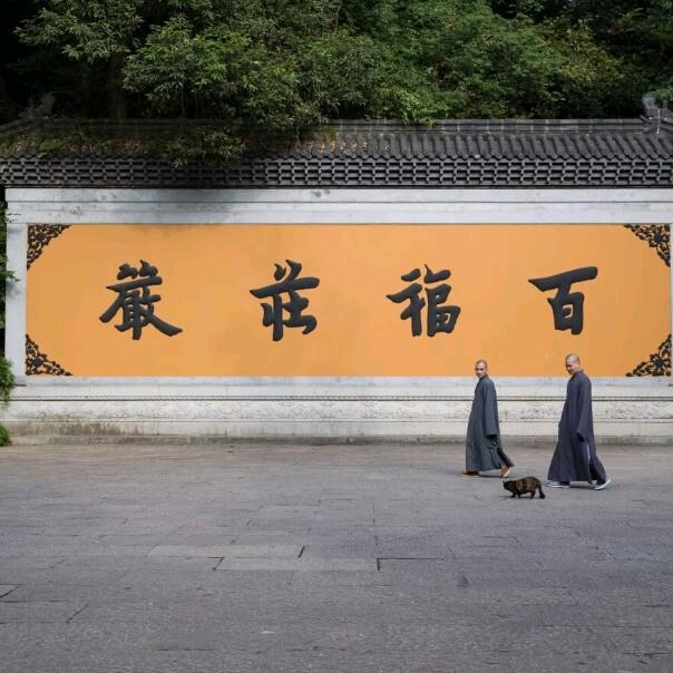 普陀山慧恩
