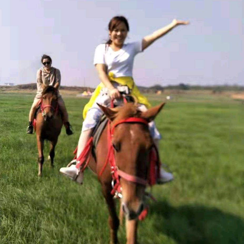 阳光总在风雨后
