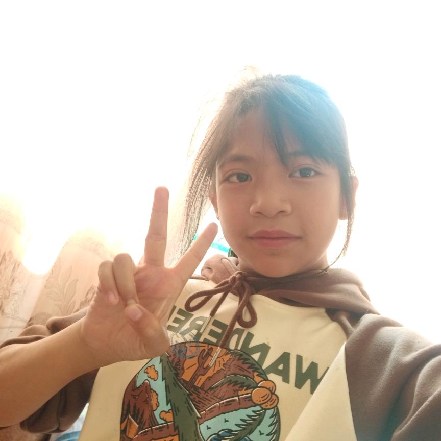 苏家大小姐