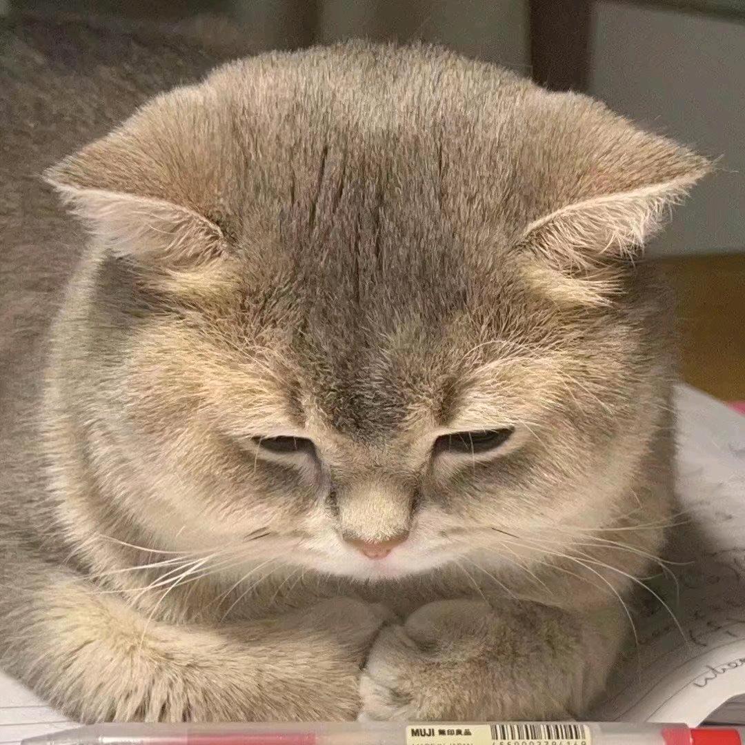 承霁