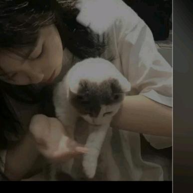 梦泽宝贝