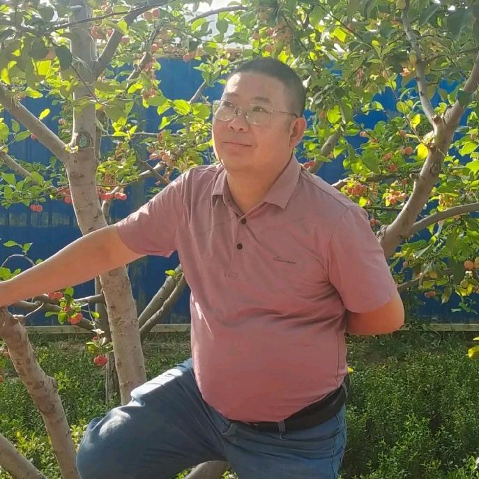 豪哥养车（轮胎  底盘快修 机油保养）