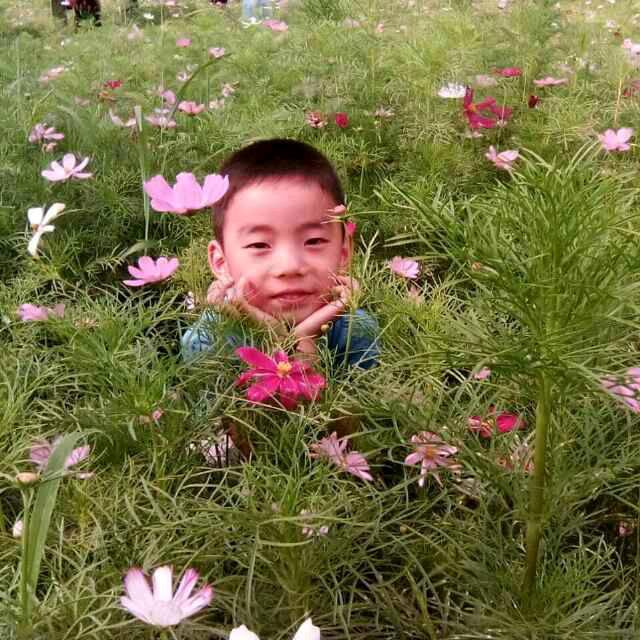 新津田园生活胡华容