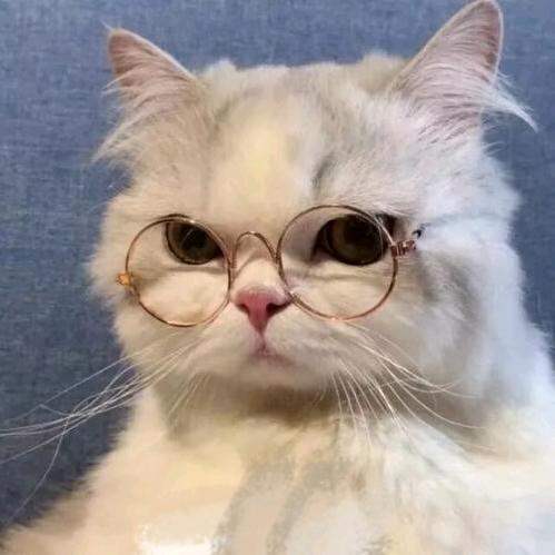 90后种水稻的小帅