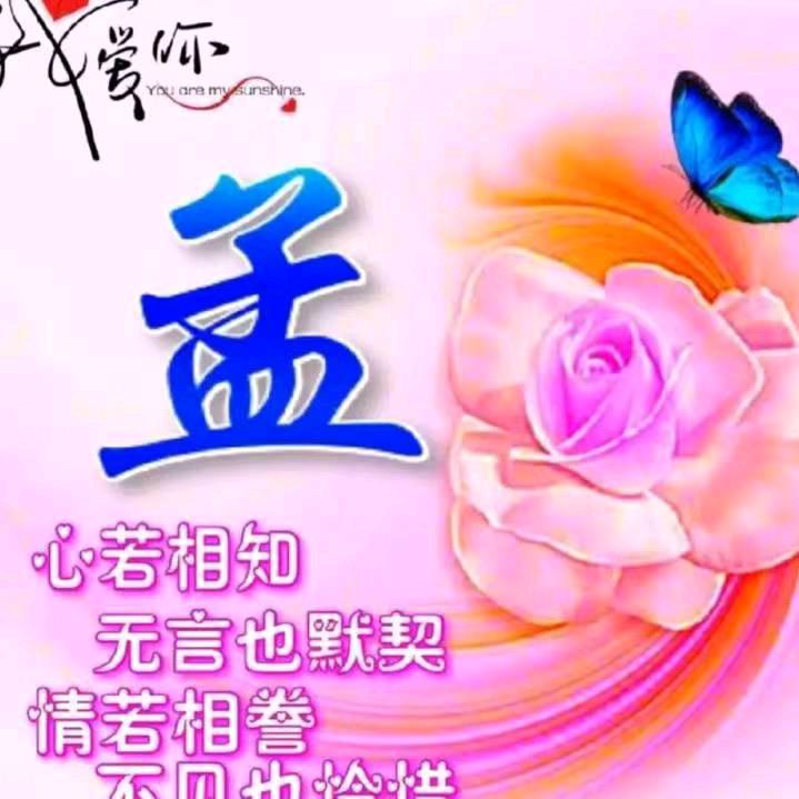 7.3年的牛