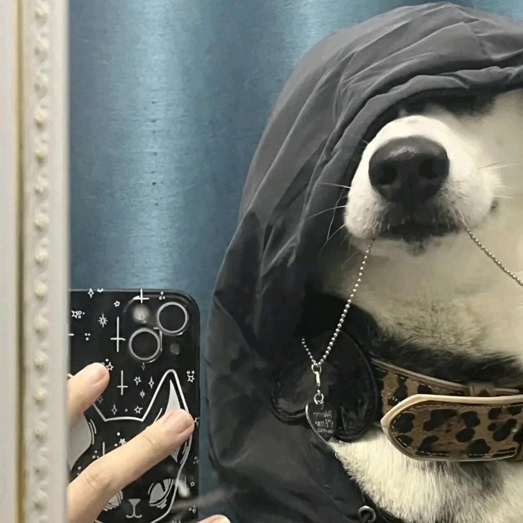 你这是在蓝为我李某人