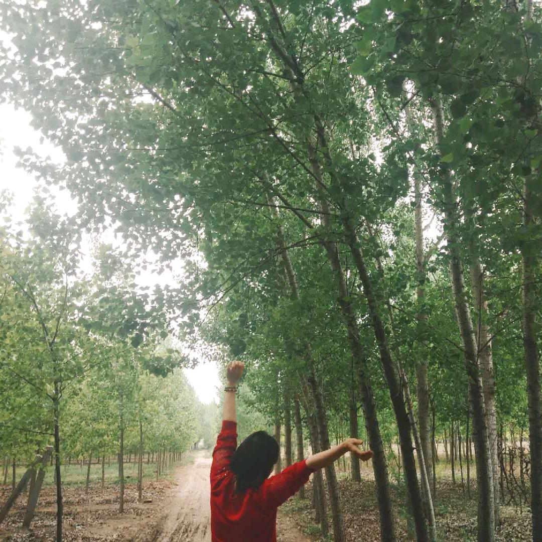 高丽