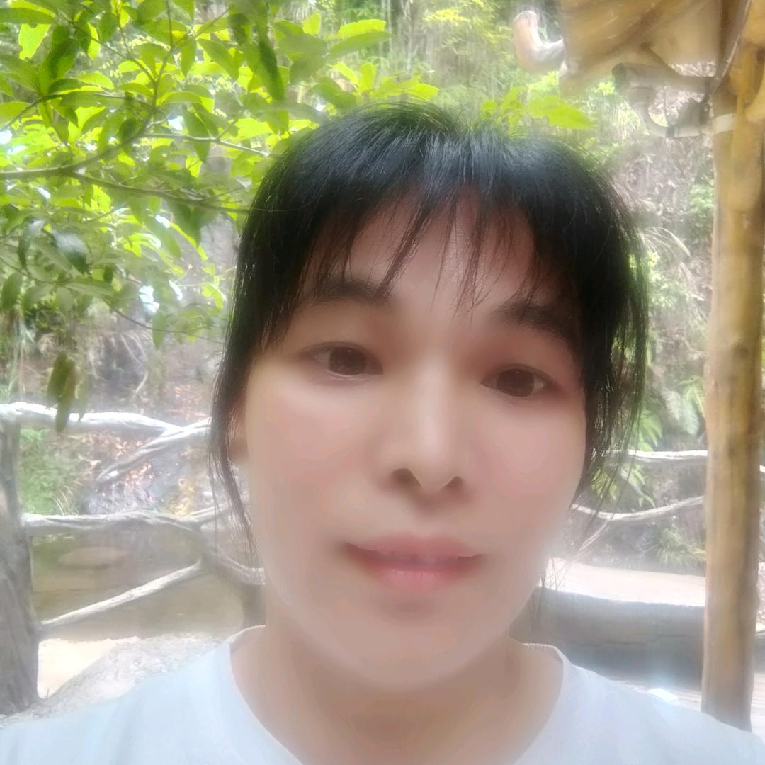 李凤