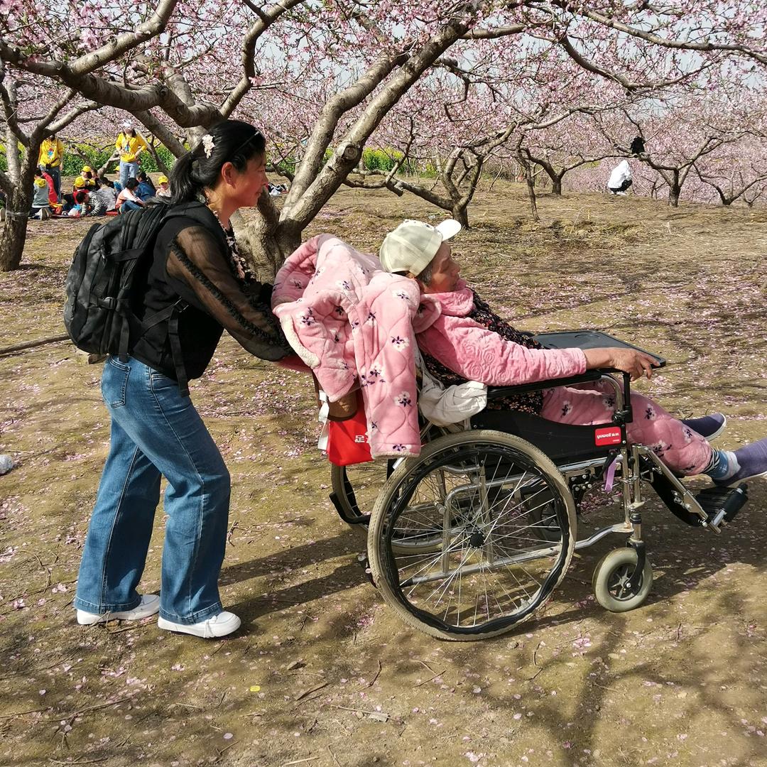 命运的龟壳5339562496