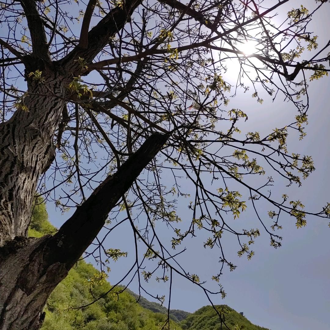 微微💕