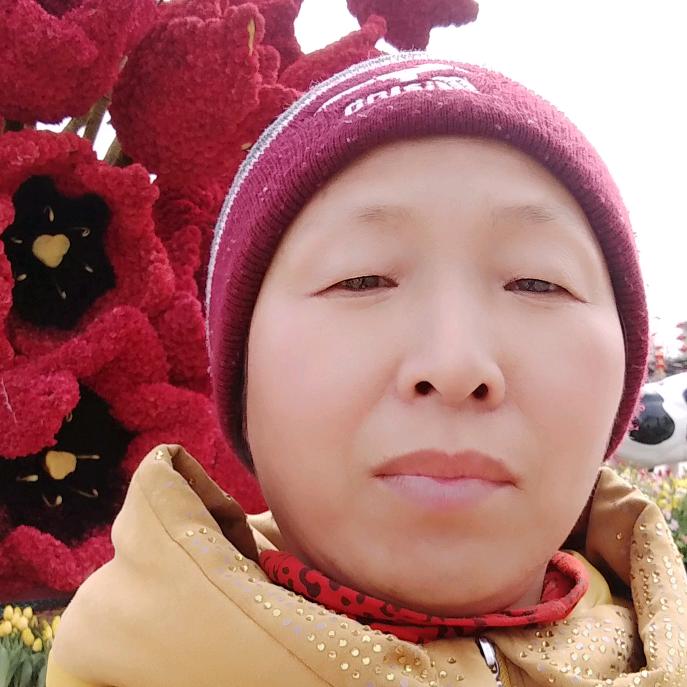 自由职业