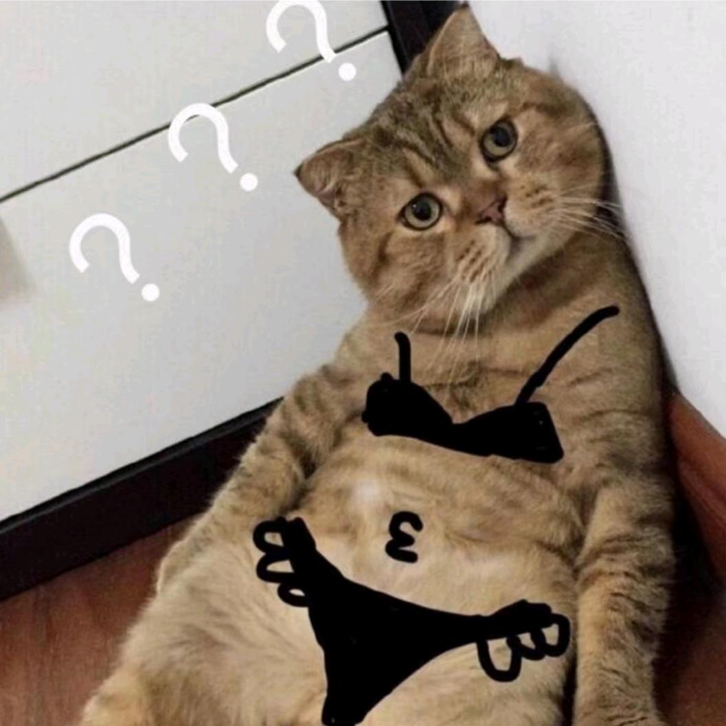 食不食油猫饼
