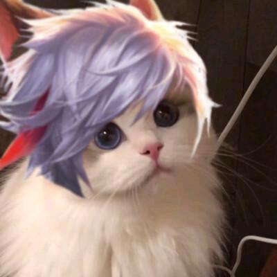 手机用户54950285401