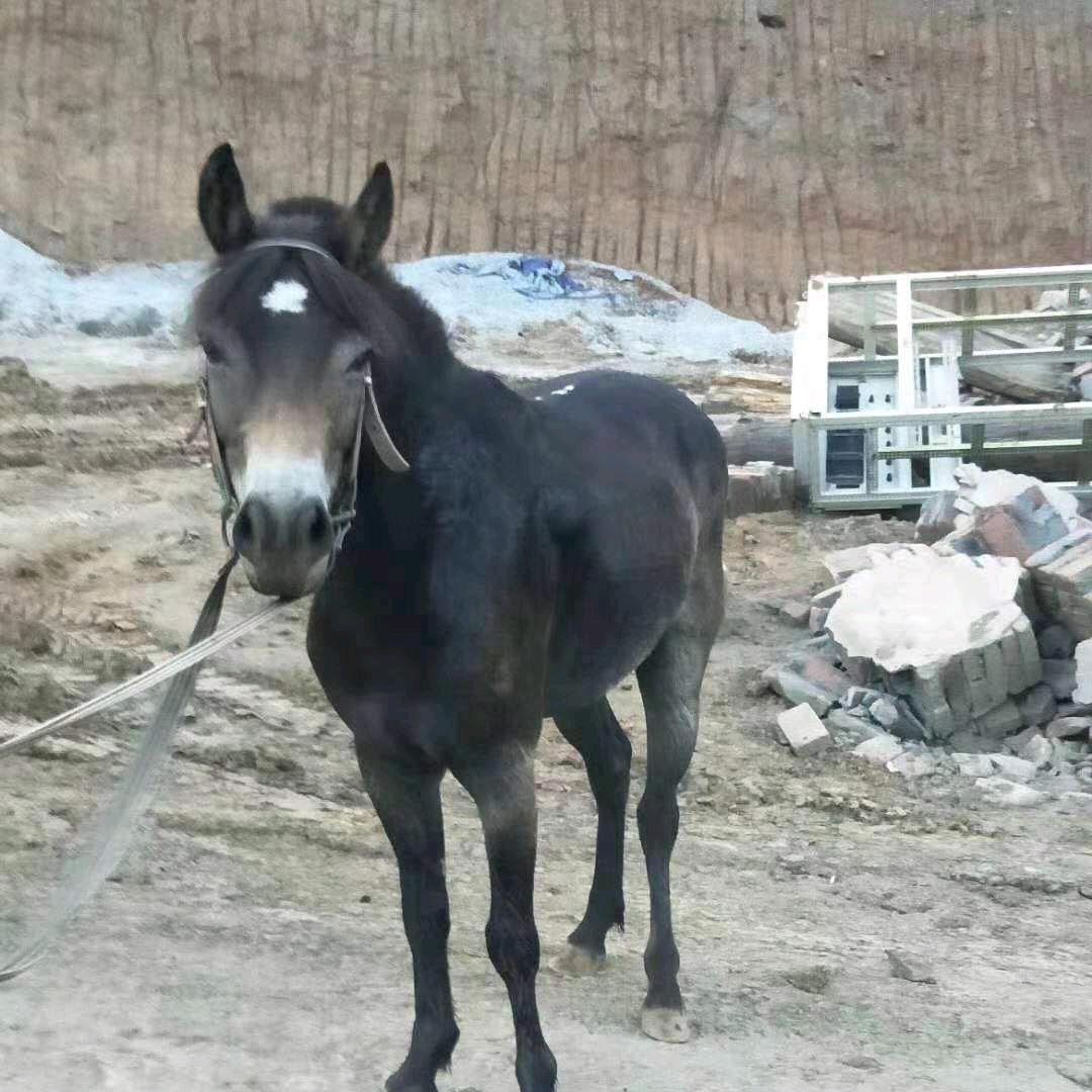 时光不老    我们不散