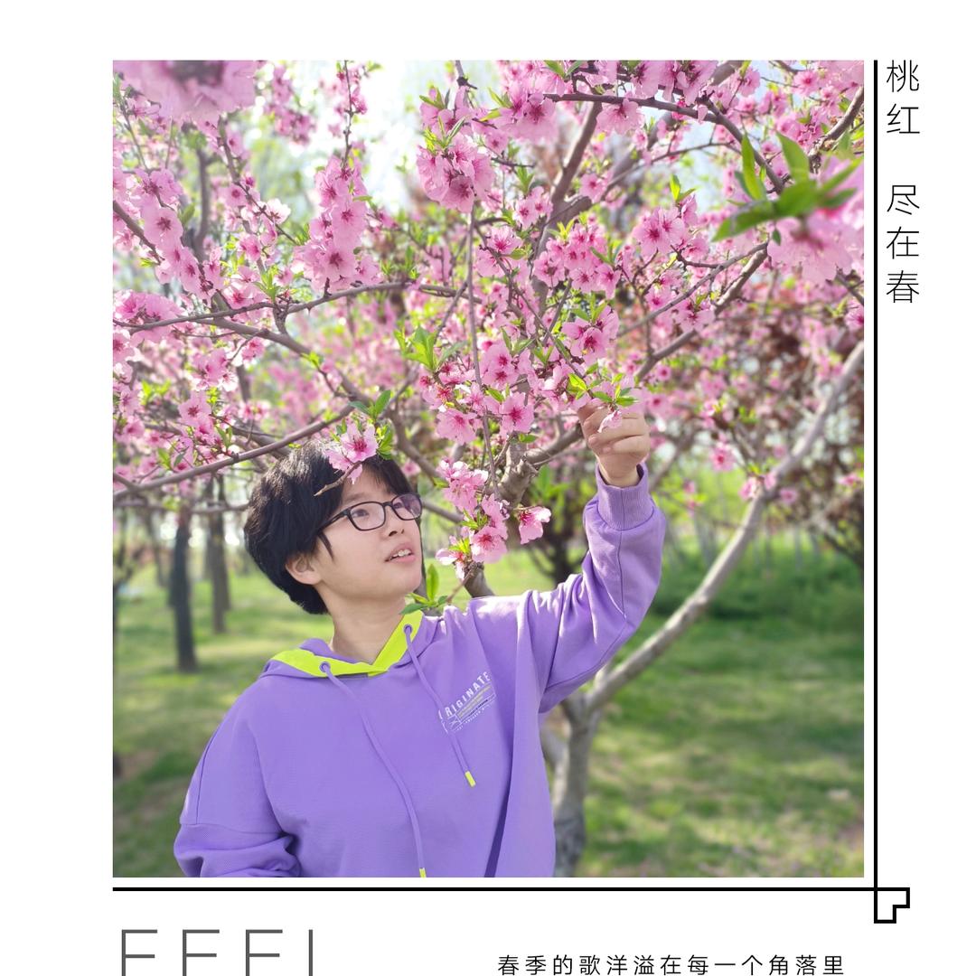 舒心宁静