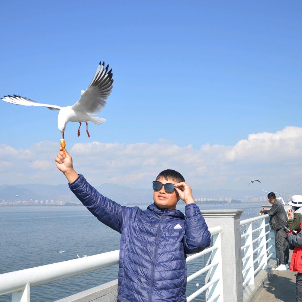 勐遮曼桂养殖户